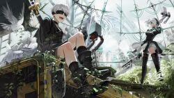 Rule 34 | 1boy, 1girl, 2b (nier:automata), 9s (nier:automata), abandoned, bird, black blindfold, black choker, black footwear, black hairband, black shorts, blindfold, boots, breasts, building, choker, cleavage, clothing cutout, covered eyes, dilapidated, drone, feather-trimmed sleeves, feather trim, from below, hairband, highres, juliet sleeves, large breasts, leotard, long sleeves, mona0101, nier:automata, nier (series), open mouth, overgrown, plant, pod (nier:automata), post-apocalypse, puffy sleeves, ruins, scenery, short hair, shorts, sitting, sword, sword behind back, thighhighs, thighhighs under boots, vines, weapon, white hair, white leotard