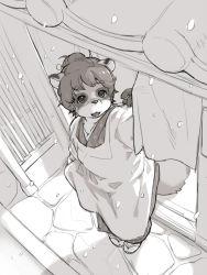Rule 34 | 1girl, animal ears, from above, furry, furry female, kikurage (crayon arts), looking up, monochrome, original, raccoon girl, short hair, smile, snout, solo, tail