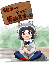Rule 34 | 1girl, alternate costume, animal ears, black hair, blush stickers, bow, bowtie, brown eyes, casual, chibi, common raccoon (kemono friends), contemporary, day, extra ears, fang, full body, fur collar, grey hair, highres, holding, holding sign, kemono friends, long sleeves, looking at viewer, medium hair, multicolored hair, open mouth, outdoors, pants, raccoon ears, raccoon girl, raccoon tail, shoes, sidelocks, sign, sitting, smile, solo, striped tail, sweater, tail, takamaru (minamimachi seisakusho), translation request, white hair