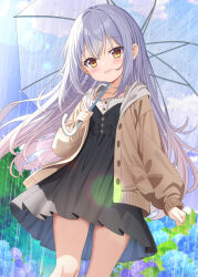 Rule 34 | 1girl, aruka (alka p1), black dress, blue flower, blue sky, blush, brown eyes, brown jacket, camisole, cloud, collarbone, commentary request, day, dress, flower, grey hair, hair between eyes, head tilt, highres, holding, holding umbrella, hood, hood down, hooded jacket, hydrangea, jacket, long sleeves, open clothes, open jacket, original, outdoors, pleated dress, puffy long sleeves, puffy sleeves, purple flower, rain, sky, smile, solo, transparent, transparent umbrella, umbrella, white camisole