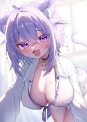 1girl absurdres animal_ears blurry blurry_background blush breasts cat_ears cat_girl cat_tail cleavage heart highres hololive large_breasts medium_hair na_nya777 nekomata_okayu no_pants open_clothes open_shirt purple_eyes purple_hair purple_tail shirt solo tail virtual_youtuber white_shirt window