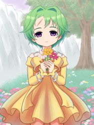 Rule 34 | 1girl, aira (grandia), bow, bracelet, closed mouth, cowboy shot, dress, empty eyes, expressionless, flower, grandia, grandia ii, green hair, hair intakes, holding, holding flower, inumaru75707951, jewelry, legs apart, looking at viewer, outdoors, purple eyes, scar, short hair, solo, standing, tree, yellow bow, yellow dress