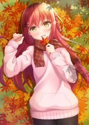 Rule 34 | 1girl, 7fuji 06, :d, autumn, autumn leaves, black pantyhose, blush, braid, brown scarf, cowboy shot, hair between eyes, hair ornament, hairclip, highres, holding, holding leaf, leaf, long hair, long sleeves, looking at viewer, maple leaf, open mouth, original, pantyhose, pink sweater, plaid, plaid scarf, red hair, scarf, single braid, smile, solo, sweater, thigh gap, very long hair, yellow eyes