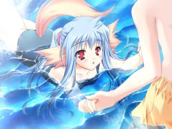 Rule 34 | 1girl, :o, animal ears, blue hair, blush, dog ears, flat chest, game cg, holding hands, long hair, moekibara fumitake, nursery rhyme, one-piece swimsuit, open mouth, red eyes, school swimsuit, shikishima krile, solo focus, swimsuit, tail, wading, water