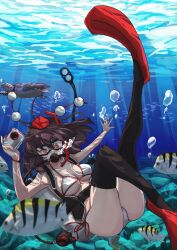 Rule 34 | 1girl, absurdres, bikini, breasts, bubble, camera, cleavage, commentary, commentary request, commission, diving mask, fish, flippers, full body, goggles, highres, holding, holding camera, looking at viewer, medium breasts, outdoors, red eyes, shameimaru aya, snorkel, solo, swimsuit, touhou, turtle, underwater, white bikini, yuuka (a0240765)
