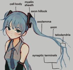 Rule 34 | 1girl, aqua hair, blue eyes, breasts, cell (biology), closed mouth, collared shirt, commentary, detached sleeves, english commentary, english text, frown, grey background, grey shirt, hatsune miku, head tilt, io (onisarashi), long hair, looking at viewer, necktie, ringed eyes, shirt, simple background, sleeveless, sleeveless shirt, small breasts, solo, twintails, upper body, vocaloid
