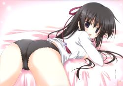 Rule 34 | 1girl, :o, absurdres, ass, bed, bed sheet, black hair, black panties, blush, braid, cameltoe, d:, dress shirt, from behind, gogyou hijiri, highres, korie riko, long hair, long sleeves, looking at viewer, looking back, open clothes, open mouth, open shirt, panties, parted lips, pink background, purple eyes, shirt, side braid, simple background, tsuki tsuki!, underwear