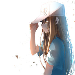 Rule 34 | 1girl, absurdres, blue shirt, blurry, blurry background, brown eyes, brown hair, character name, clothes writing, commentary request, depth of field, eyes visible through hair, flat cap, hair between eyes, hand on headwear, hand up, hat, hataraku saibou, highres, long hair, looking away, platelet (hataraku saibou), profile, shirt, short sleeves, simple background, solo, suisen-21, upper body, very long hair, white background, white hat