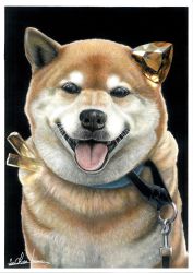 Rule 34 | abe yuichiro, animal focus, black background, colored pencil (medium), crystal, dog, highres, looking at viewer, no humans, open mouth, original, shiba inu, simple background, tongue, tongue out, tourmaline (gemstone), traditional media