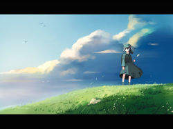 Rule 34 | 1girl, blue hat, day, female focus, hat, kawashiro nitori, letterboxed, plant, pocket, scenery, seo tatsuya, sky, solo, standing, touhou, two side up
