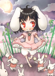 Rule 34 | 1girl, :q, bad id, bad pixiv id, barefoot, black hair, chibi, female focus, inaba tewi, moon, okome (ricecandy), rabbit, red eyes, ricecandy, solo, tongue, tongue out, too many, too many rabbits, touhou
