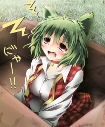 Rule 34 | 1girl, ahoge, bell, box, breasts, bunchin (siso junzy), collar, fang, female focus, green hair, highres, in box, in container, kazami yuuka, kemonomimi mode, large breasts, necktie, open mouth, red eyes, short hair, solo, touhou, undone, undone necktie