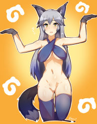 Rule 34 | 10s, 1girl, ?, alternate costume, animal ears, armpits, arms up, bare arms, bare shoulders, black gloves, black thighhighs, blush, bottomless, breasts, cleft of venus, collarbone, criss-cross halter, fox ears, fox tail, gloves, halterneck, highres, japari symbol, kemono friends, leg up, long hair, medium breasts, myumi, navel, open mouth, orange background, outline, pussy, silver fox (kemono friends), silver hair, sleeveless, solo, standing, standing on one leg, stomach, straight hair, tail, thighhighs, twitter username, uncensored, underboob, very long hair, white outline, yellow eyes
