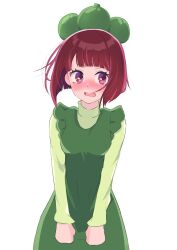 Rule 34 | 1girl, arima kana, blush, bob cut, chouchou aile, dress, green dress, green hat, hat, highres, inverted bob, looking to the side, nose blush, open mouth, oshi no ko, red eyes, red hair, short hair, simple background, solo, white background