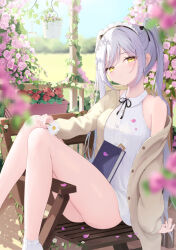 Rule 34 | 1girl, akie (44265104), bare legs, black ribbon, blurry, blurry background, blurry foreground, book, buttons, chair, collared shirt, commentary request, daisy, day, feet out of frame, flower, frilled socks, frills, grey hair, hair ribbon, hanging plant, jacket, legs, long hair, looking at viewer, maid headdress, melonbooks, no shoes, on chair, open clothes, open jacket, original, outdoors, parted lips, petals, pink flower, pink rose, plant, porch, red flower, ribbon, rose, shirt, single bare shoulder, sitting, sleeveless, sleeveless shirt, socks, solo, twintails, unbuttoned, very long hair, vines, white shirt, wooden chair, yellow eyes