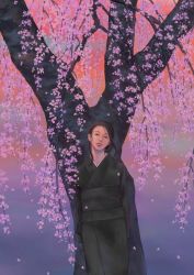 Rule 34 | 1girl, cherry blossoms, funeral kimono, japanese clothes, kimono, looking at viewer, obi, original, sash, solo, standing, tree, tsuguru-ki