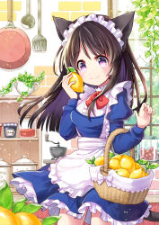 Rule 34 | 1girl, animal ears, apron, basket, black hair, blue dress, bow, bowtie, cat ears, cat tail, coconat summer, coffee grinder, commentary request, dress, food, fruit, frying pan, highres, holding, holding food, holding fruit, indoors, jar, juliet sleeves, kettle, ladle, lemon, long hair, long sleeves, looking at viewer, maid, object to cheek, original, plant, potted plant, puffy sleeves, purple eyes, red bow, red bowtie, smile, solo, spatula, tail, waist apron, white apron, window