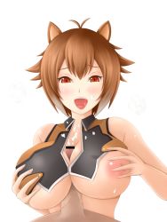 Rule 34 | 1girl, animal ears, antenna hair, arc system works, azuki (azki0214dai z), bad id, bad pixiv id, blazblue, blazblue: continuum shift, breasts squeezed together, breasts, brown eyes, brown hair, cum, facial, highres, large breasts, makoto nanaya, nipples, open mouth, paizuri, paizuri under clothes, penis, penis under another&#039;s clothes, short hair, squirrel ears