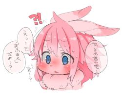 Rule 34 | blue eyes, rabbit, furry, husamochi coo, open mouth, pink hair, short hair, translation request