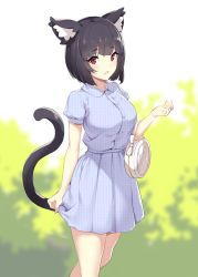 Rule 34 | 1girl, :d, alternate costume, animal ear fluff, animal ears, azur lane, bag, black hair, blouse, blue shirt, blue skirt, blurry, blurry background, blush, bow, breasts, casual, cat ears, cat tail, checkered clothes, checkered skirt, collared shirt, commentary, cowboy shot, day, hand up, handbag, highres, icomochi, looking at viewer, medium breasts, open mouth, outdoors, pleated skirt, puffy short sleeves, puffy sleeves, red eyes, shirt, short hair, short sleeves, skirt, skirt hold, smile, solo, tail, thighs, unmoving pattern, white bow, yamashiro (azur lane)