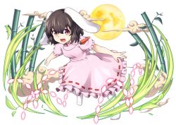 Rule 34 | 1girl, :d, animal ears, bamboo, bamboo forest, brown hair, carrot necklace, danmaku, dress, forest, full body, full moon, inaba tewi, jewelry, looking at viewer, moon, nature, necklace, nogisaka kushio, open mouth, pendant, pink dress, puffy short sleeves, puffy sleeves, rabbit ears, rabbit girl, rabbit tail, red eyes, short hair, short sleeves, simple background, smile, solo, tail, touhou, transparent background, white background, white legwear