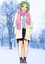 Rule 34 | 1girl, :d, ahoge, alternate costume, bare tree, black skirt, elf, green hair, highres, looking at viewer, mizumori keiichi, mushoku tensei, open mouth, outdoors, pink scarf, pointy ears, red eyes, scarf, short hair, skirt, smile, snow, solo, standing, sylphiette (mushoku tensei), tree, winter clothes