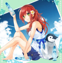 Rule 34 | 1girl, bare legs, bare shoulders, barefoot, bird, blouse, blue sky, bottle, cloud, day, flower, from side, green eyes, hair flower, hair ornament, holding, holding bottle, knees up, legs, long hair, looking at viewer, looking to the side, original, penguin, ramune, red hair, sash, shirt, shorts, sitting, sky, sleeveless, smile, solo, white shirt