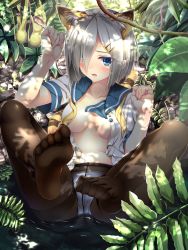 Rule 34 | 10s, 1girl, animal ears, black pantyhose, blue eyes, blush, breasts, crotch seam, feet, female focus, hair ornament, hair over one eye, hairclip, hamakaze (kancolle), highres, kantai collection, large breasts, looking at viewer, moeki yuuta, nature, no pants, no shoes, open clothes, open shirt, panties, panties under pantyhose, pantyhose, pitcher plant, plant, school uniform, serafuku, shirt, short hair, silver hair, soles, solo, spread legs, toes, underwear