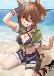 Rule 34 | 1girl, absurdres, agnes tachyon (lunatic lab) (umamusume), agnes tachyon (umamusume), ahoge, animal ears, arm up, beach, bikini, black bikini, black footwear, blue sky, blush, bracelet, breasts, brown hair, cleavage, cleavage cutout, clothing cutout, commentary, criss-cross halter, cross-laced footwear, denim, denim shorts, green shirt, grin, halterneck, highres, horse ears, horse girl, horse tail, jewelry, kii-kun (agnes tachyon) (umamusume), medium breasts, navel, nida keita, official alternate costume, on ground, open fly, sand, shirt, short hair, shorts, sitting, sky, sleeves rolled up, smile, solo, summer, swimsuit, tail, test tube, thigh strap, tied shirt, umamusume, wariza, water
