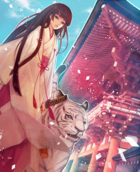 Rule 34 | 1girl, architecture, bad id, bad pixiv id, black hair, chm, east asian architecture, hime cut, japanese clothes, katana, long hair, miko, original, shrine, solo, sword, tiger, very long hair, weapon, white tiger