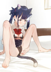 Rule 34 | 1girl, animal ear fluff, animal ears, bare legs, barefoot, bed, black bra, black hair, black panties, black skirt, blush, bow, bra, breasts, brown eyes, cameltoe, cat ears, cat girl, cat tail, cleavage, closed mouth, collared shirt, commentary request, dress shirt, indoors, knees up, long hair, medium breasts, original, panties, pillow, pleated skirt, red bow, shirt, sidelocks, skirt, solo, spread legs, subachi, tail, twintails, underwear, white shirt