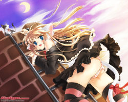 Rule 34 | 00s, 1girl, 2007, :d, animal ears, artist name, bell, blonde hair, blue eyes, blush, bow, cat, cat ears, cat tail, cloud, cloudy sky, crescent moon, fang, galge.com, jingle bell, ladder, long hair, looking at viewer, looking back, moon, nekou izuru, open mouth, panties, ribbon, sky, smile, solo, striped clothes, striped panties, striped thighhighs, tail, tail bow, tail ornament, tail ribbon, thighhighs, underwear, wallpaper