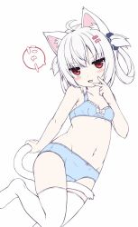 Rule 34 | 1girl, :d, ahoge, animal ear fluff, animal ears, bare arms, bare shoulders, between legs, blue bra, blue panties, blue scrunchie, blush, bow, bow bra, bow panties, bra, breasts, cat ears, cat girl, cat tail, cleavage, collarbone, commentary request, fang, fingernails, groin, hair between eyes, hair ornament, hair rings, hair scrunchie, hairclip, hand up, highres, navel, no shoes, open mouth, original, panties, red eyes, sakuraba hikaru (loveindog), scrunchie, simple background, small breasts, smile, solo, sugimura runa, tail, tail between legs, tail grab, thighhighs, translation request, underwear, underwear only, v, white background, white thighhighs