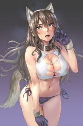 Rule 34 | 1girl, animal collar, animal ears, animal hands, ashigara (kancolle), blush, breasts, brown eyes, brown hair, cleavage, collar, cowboy shot, fake animal ears, fake tail, fangs, gloves, hair between eyes, highres, kantai collection, kokuzou, large breasts, long hair, navel, open mouth, paw gloves, purple gloves, solo, tail, wolf ears, wolf tail
