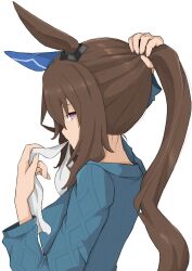 Rule 34 | 1girl, 4kihoshi, admire vega (umamusume), animal ears, blue sweater, brown hair, ear covers, from side, hair ribbon, highres, horse ears, horse girl, long hair, long sleeves, looking at viewer, mouth hold, ponytail, purple eyes, ribbon, sideways glance, simple background, single ear cover, solo, sweater, umamusume, upper body, white background, white ribbon