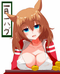 Rule 34 | 1girl, alternate costume, animal ears, blue eyes, blush, breasts, brown hair, cleavage, commentary request, food, fruit, hair between eyes, hair down, highres, horse ears, horse girl, jacket, kotatsu, large breasts, long hair, long sleeves, looking at viewer, mandarin orange, open clothes, open jacket, open mouth, shirt, simple background, smile, solo, table, taiki shuttle (umamusume), tank top, tkka, umamusume, white shirt, white tank top