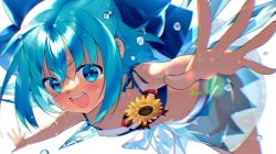 Rule 34 | 1girl, akio hiiragi, bikini, blue bikini, blue bow, blue eyes, blue hair, blush, bow, breasts, bubble, cirno, commentary request, flower, foreshortening, hair bow, hiiragi akio, ice, ice wings, lens flare, looking at viewer, medium hair, open mouth, sarong, see-through, simple background, small breasts, smile, solo, sunflower, swimsuit, tan, tanned cirno, touhou, twitter username, wet, white background, wings
