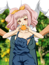 Rule 34 | 00s, 1boy, 1girl, anya alstreim, ass, back-to-back, blush, breasts, code geass, farm, food, fruit, holding, holding food, holding fruit, jeremiah gottwald, naked overalls, no bra, orange (fruit), outdoors, overalls, pink hair, red eyes, sideboob, small breasts, tanan, twintails