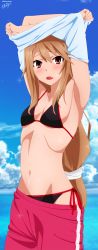 Rule 34 | 1girl, absurdres, armpits, arms up, benjoerres, bikini, black bikini, brown eyes, brown hair, clothes pull, cloud, day, derivative work, fang, highres, huge filesize, long hair, looking at viewer, ocean, ookami-san, ookami ryouko, open mouth, shorts, shorts pull, solo, swimsuit, undressing