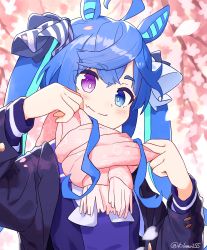 Rule 34 | 1girl, absurdres, ahoge, animal ears, black jacket, blue eyes, blue hair, blush, bright pupils, cherry blossoms, closed mouth, crossed bangs, fang, hands up, heterochromia, highres, horse ears, jacket, kiromo, long hair, open clothes, open jacket, petals, purple eyes, purple shirt, scarf, shirt, skin fang, smile, solo, twin turbo (umamusume), twitter username, umamusume, upper body, white pupils