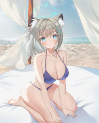 Rule 34 | 1girl, alternate costume, animal ear fluff, animal ears, arm support, bare arms, bare legs, bare shoulders, barefoot, beach, bikini, blue archive, blue bikini, blue eyes, blue sky, breasts, bright pupils, cleavage, cross hair ornament, curtains, feet, grey hair, hair ornament, halo, halterneck, hand on own knee, highres, large breasts, looking at viewer, medium hair, mismatched pupils, ocean, outdoors, parted lips, sand, see-through, seiza, shiroko (blue archive), sitting, sky, soles, solo, strap gap, string bikini, sunlight, swimsuit, thighs, toes, white pupils, wind, zzo (chorizzzzo)