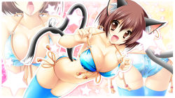 Rule 34 | 1girl, aged up, animal ears, ass, bikini, blue thighhighs, breasts, brown eyes, brown hair, cameltoe, cat ears, cat girl, cat tail, chen, cleavage, earrings, female focus, front-tie top, highres, jewelry, kamiya tomoe, large breasts, lingerie, multiple tails, nekomata, o-ring, o-ring top, open mouth, short hair, side-tie bikini bottom, skindentation, star (symbol), swimsuit, tail, thighhighs, tongue, tongue out, touhou, trefoil, underwear, zoom layer