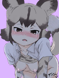 Rule 34 | 10s, 1girl, absurdres, african wild dog (kemono friends), african wild dog print, animal ears, backlighting, black hair, blush, bottomless, breasts, clothes lift, collarbone, collared shirt, dog ears, dog tail, drooling, foreshortening, grey eyes, grey hair, groin, hanging breasts, head tilt, highres, kemono friends, layered sleeves, leaning forward, long sleeves, masuyama ryou, multicolored hair, nipples, no bra, nose blush, open clothes, open mouth, open shirt, pink background, print shirt, shirt, shirt lift, short hair, short over long sleeves, short sleeves, simple background, small breasts, solo, tail, tsurime, two-tone hair, undershirt, white shirt, wing collar