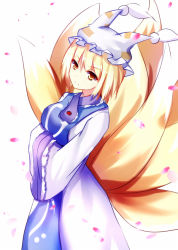 Rule 34 | 1girl, animal hat, blonde hair, breasts, dress, fox tail, hands in opposite sleeves, hat, hat with ears, large breasts, light smile, long sleeves, looking at viewer, meng xiao jiong, mob cap, multiple girls, petals, mob cap, short hair, smile, solo, tabard, tail, touhou, white dress, wide sleeves, yakumo ran, yellow eyes