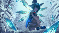 Rule 34 | 1girl, backlighting, bare tree, bloomers, blue bow, blue dress, blue eyes, blue footwear, blue hair, bow, cirno, collared shirt, cryokinesis, dress, hair bow, hugging own legs, ice, ice shard, ice wings, looking at viewer, mary janes, matumasima, midair, neck ribbon, petticoat, pinafore dress, pine tree, puffy short sleeves, puffy sleeves, red ribbon, ribbon, shirt, shoes, short hair, short sleeves, sleeveless, sleeveless dress, smile, snow, socks, solo, touhou, tree, underwear, white shirt, white socks, wings, winter