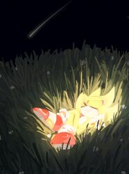 Rule 34 | 1boy, arms behind head, closed eyes, commentary request, cookiecream 00, glowing, highres, korean commentary, lying, male focus, night, on back, on grass, outdoors, red footwear, shooting star, smile, solo, sonic (series), sonic the hedgehog, super sonic