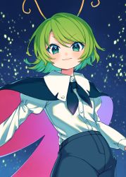 Rule 34 | 1girl, absurdres, androgynous, antennae, black cape, black shorts, blush, buttons, cape, closed mouth, collared shirt, commentary request, cowboy shot, e sdss, fireflies, flat chest, green eyes, green hair, hair between eyes, highres, juliet sleeves, long sleeves, looking at viewer, puffy sleeves, red cape, shirt, short hair, shorts, smile, solo, swept bangs, touhou, two-sided cape, two-sided fabric, white shirt, wriggle nightbug