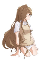 Rule 34 | 1girl, absurdres, aisaka taiga, brown eyes, brown hair, closed mouth, collared shirt, commentary request, cropped legs, highres, light blush, long hair, looking ahead, nishizuki shino, panties, profile, shirt, short sleeves, simple background, smile, solo, sweater vest, toradora!, underwear, very long hair, white background, white panties, white shirt