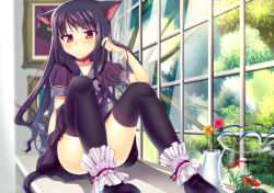 Rule 34 | 1girl, animal ears, ankle cuffs, bad id, bad pixiv id, black hair, black thighhighs, cat ears, cat tail, collar, collarbone, convenient leg, flower, long hair, looking at viewer, mary janes, matatabi maru, original, portrait (object), puffy short sleeves, puffy sleeves, shoes, short sleeves, sitting, solo, tail, thighhighs, vase, window