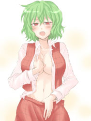 Rule 34 | 1girl, blush, breasts, cleavage, clothes pull, female focus, green hair, kazami yuuka, large breasts, mokku, navel, open clothes, open mouth, open shirt, plaid, plaid skirt, plaid vest, red eyes, shirt, short hair, skirt, skirt pull, skirt set, solo, touhou, undressing, vest